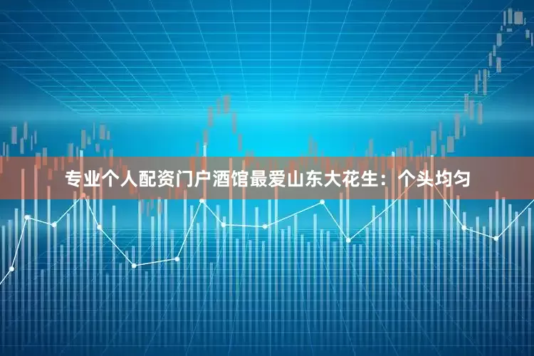 专业个人配资门户酒馆最爱山东大花生：个头均匀