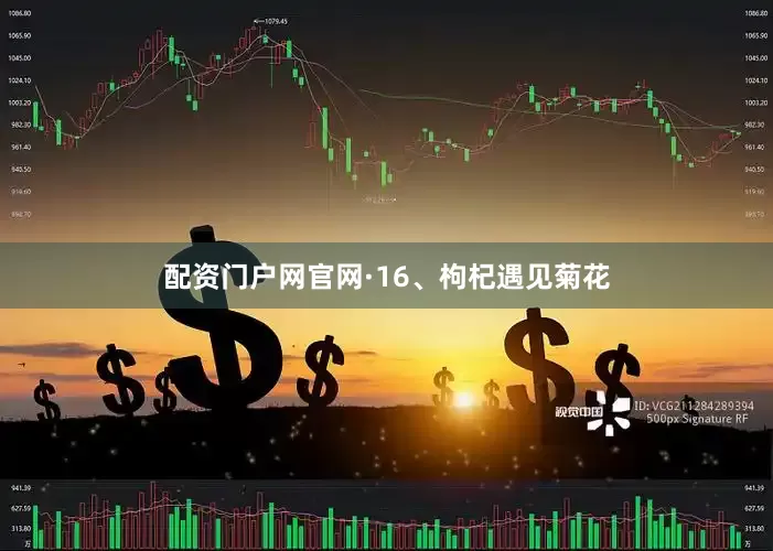 配资门户网官网·16、枸杞遇见菊花