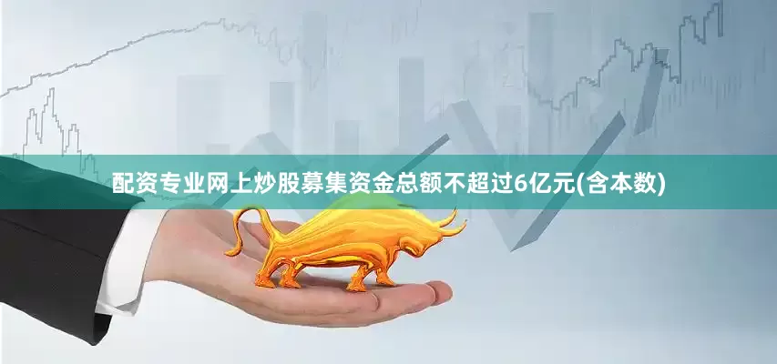 配资专业网上炒股募集资金总额不超过6亿元(含本数)
